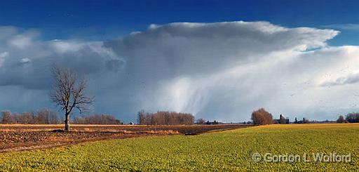 Lone Tree_01730-1.jpg - Photographed near Ottawa, Ontario, Canada.